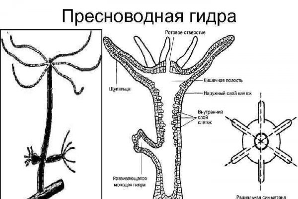 Каталог онион